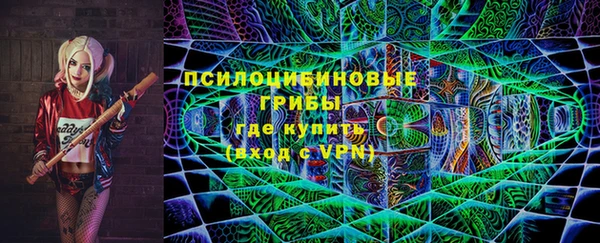 первитин Инта