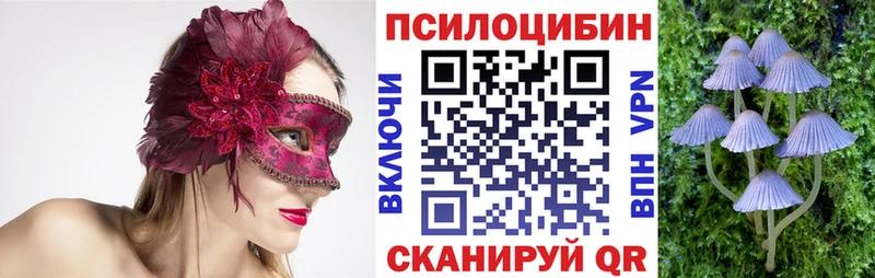 где купить наркоту  Красавино  гидра ССЫЛКА  darknet Telegram  Псилоцибиновые грибы прущие грибы 